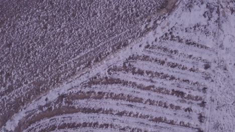 Drone-flying-over-a-field-full-of-snow-in-Spain