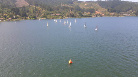 AERIAL---Sailboats-in-Lake-Vichuquen,-Chile,-static-wide-shot