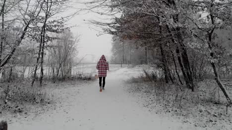 Young-Girl-In-Checkered-Coat-With-Dog-Walking-Through-A-Snowy-Ground-During-A-Snowfall-In-Winter