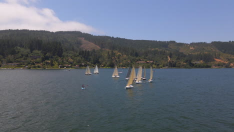AERIAL---Sailboats-in-Lake-Vichuquen,-Chile,-wide-spinning-shot