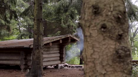 Rauch-Steigt-Von-Einem-Lagerfeuer-In-Der-Nähe-Einer-Holzhütte-Im-Wald-Auf