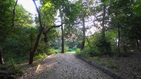 Tokyo's-Shakuji-Park-is-full-of-beautiful-paths-where-one-can-go-for-a-walk-on-summer-afternoons