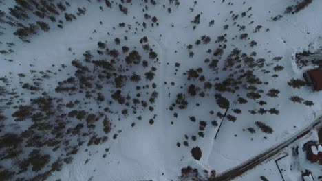 Top-down-shot-over-a-snowy-landscape-the-trees-and-houses-at-the-wintry-ground,-idyllic-place-to-live