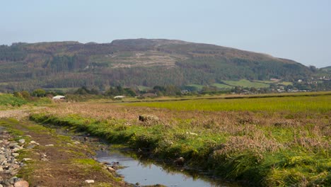 A-view-of-a-stream,-a-dense-green-meadow,-a-forest-and-a-mountain-in-the-background-Dundalk-,-Ireland