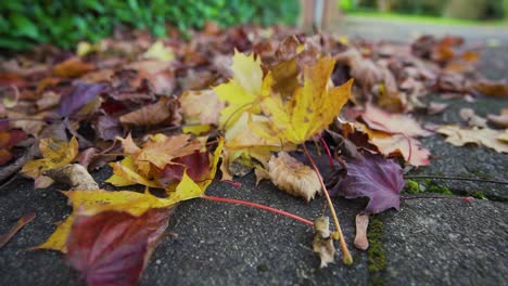 Golden-yellow-leaves-on-the-stone-street-floor-during-autumn-close-up
