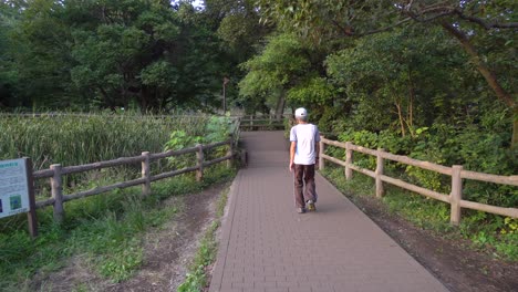 Im-Shakujii-Park-In-Tokio-Gehen-Viele-Menschen-An-Sommernachmittagen-Spazieren-Oder-Laufen,-Da-Dann-Die-Temperatur-Sinkt-Und-Es-Sehr-Angenehm-Ist,-Sport-Zu-Treiben