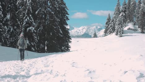 Weibliche-Backpacker-Nordic-Walking-Allein-Im-Schnee-Mit-Schneebedeckten-Bergen-Und-Pinien-Im-Hintergrund
