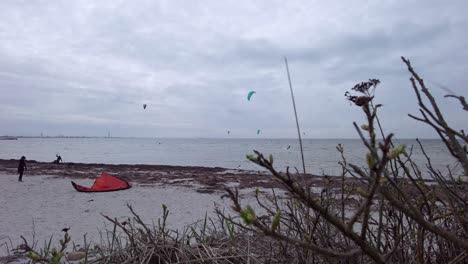 Watching-kite-surfers-from-distance-behind-some-branches-at-a-sandy-beach-while-the-wind-is-blowing-over-the-sea