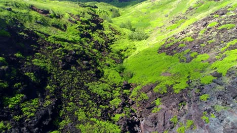 Flying-over-lush-green-canyon-on-east-side-of-Maui,-Hawaii