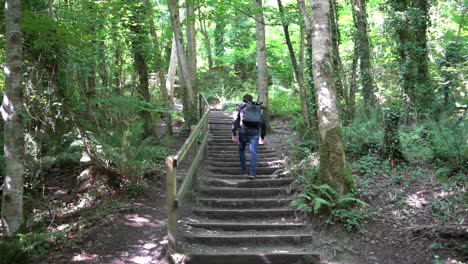 Lonely-hiker-with-backpack-walking-upstairs-on-hiking-trail-in-Dun-Na-Ri-forest-park-Ireland-on-sunny-summer-day,-slow-motion