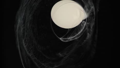 Delicacies-of-White-upon-pure-black-black-black---an-all-natural-AbstractVideoClip