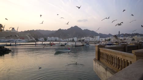 Seagulls-flying-over-Mutrah-corniche-with-boats-during-sunrise