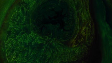 Ominous,-pulsing-dark-green-expands-and-takes-over,-pushing-lovely-lacy-green-away---an-all-natural-AbstractVideoClip