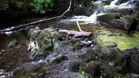 Freshwater-Creek-and-Cascades-in-Dun-Na-Ri-Forest-Park,-Ireland,-Popular-Hiking-Destination-on-Sunny-Summer-Day
