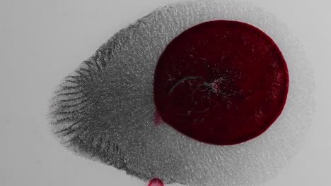 Blood-red-feeds-on-shimmering-silver-and-grows---an-all-natural-AbstractVideoClip