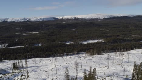 Vista-Aérea-Cinematográfica-Drone-Disparó-Paisaje-Invernal-En-Las-Partes-Del-Norte-De-Suecia