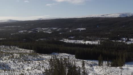 Vista-Aérea-Drone-Disparó-Paisaje-Invernal-En-Las-Partes-Del-Norte-De-Suecia-Sobre-Un-Bosque