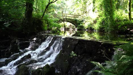 Idyllic-nature-scenery-from-Dun-Na-Ri-forest-park,-Ireland