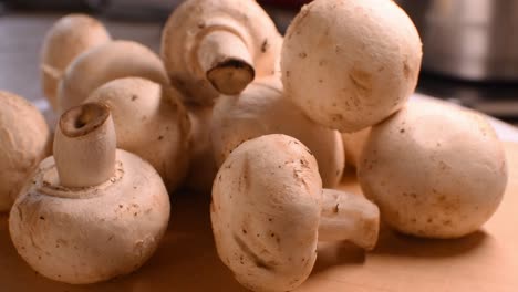 group-of-white-mushrooms--warm-light-creating-shadows-arround-steady-cam