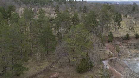 Pan-up-Aerial-view-drone-flight-over-forest-in-Kinnekulle-Sweden