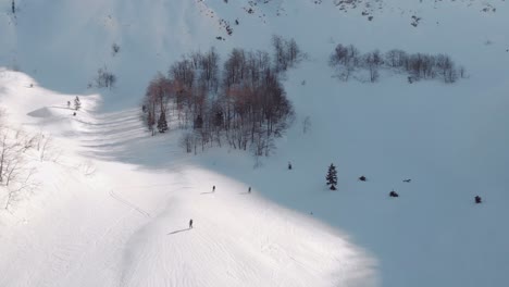 Backcountry-Skiing---Skiers-Skiing-On-Snowy-Downhill-Of-Planina-Suha-During-Sunny-Winter-Day-In-Rodica,-Slovenia