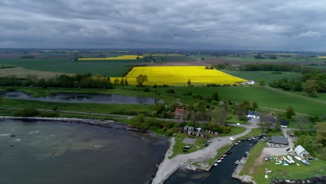 Leuchtend-Gelbes-Rapsblumenfeld-In-Der-Nähe-Des-Horte-Hafens-In-Der-Schwedischen-Grafschaft-Skane