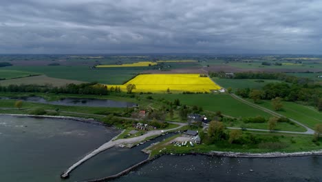 Weitläufiges-Ackerland-Mit-Rapsblüten-Am-Hafen-Von-Horte-Bei-Bewölktem-Wetter-In-Der-Grafschaft-Skane