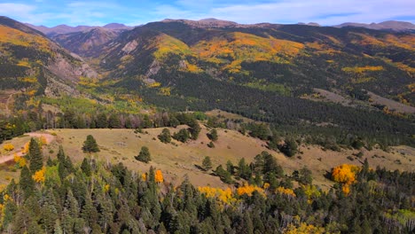 Aerial-View-Of-Aspen-Trees-On-The-Mountain-Forest-During-Autumn