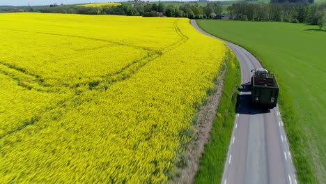 Grain-Truck-Driving-Along-Rapeseed-Field-With-Bright-Yellow-Flowers