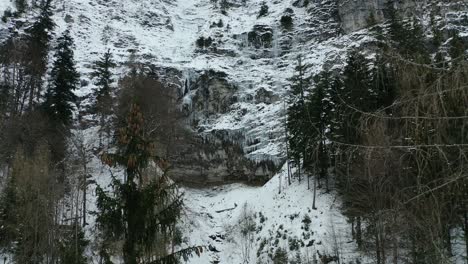 Drone-fly-through-trees---Icicles-haning-off-Cliff
