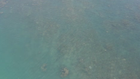 Blaues-Meer-Mit-Felsigem-Meeresboden---Thornton-Beach-Im-Daintree-nationalpark-In-Qld,-Australien