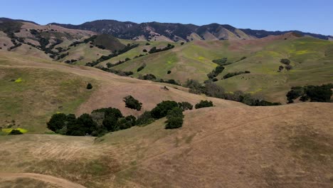 Flying-over-rolling-grass-hills-outside-San-Luis-Obispo,-California