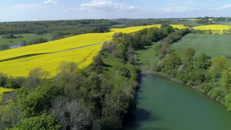 Serene-Lake-With-Yellow-Rapeseed-Farmland-Fields-By-The-Country-Road-During-Summer