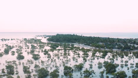 Drone-shot-above-the-mangroves-looking-over-a-peninsula-in-Tofo,-Mozambique