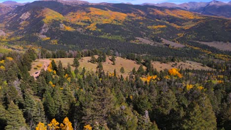 Aerial-tilt-up-reveal-view-of-valley-covered-in-aspen-trees-and-spruce-forest
