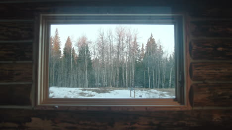 Log-cabin-window-centered-to-show-perfect-snowy-tree-line-outside