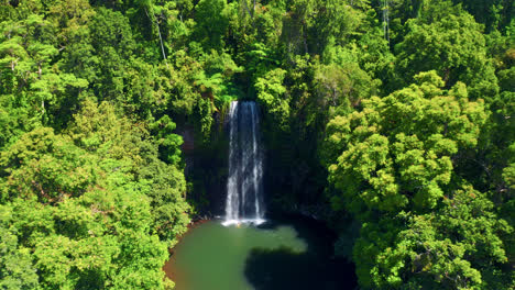Drone-Flying-Towards-The-Magnificent-Millaa-Millaa-Falls-Surrounded-By-Lush-Rainforest-On-The-Waterfalls-Circuit-In-Atherton-Tablelands,-North-Queensland