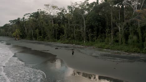 Einsame-Person,-Die-Auf-Der-Sandigen-Küste-Von-Punta-Mona-Beach-In-Costa-Rica-Spazieren-Geht