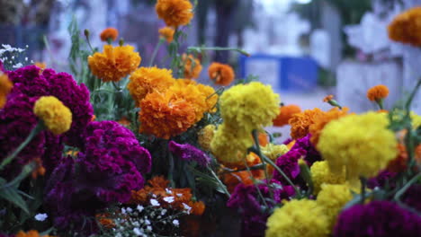 Primer-Plano-De-Flores-De-Cempasuchil-Amarillas,-Moradas-Y-Naranjas-Con-Un-Cementerio-En-El-Fondo-Durante-La-Celebración-Del-Día-De-Los-Muertos-En-México