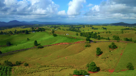 Aerial-Of-Vast-Green-Fields-And-Vegetation-In-Atherton-Tablelands,-Queensland,-Australia---drone-shot