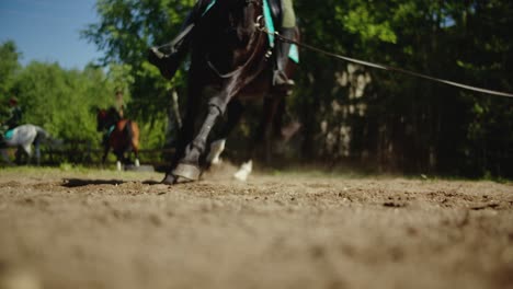 Horse-close-up-running-around-in-the-field-with-a-rider-in-green-trousers