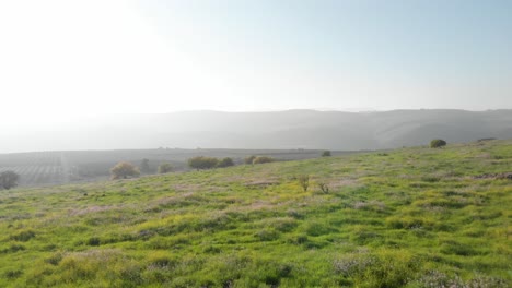 Vuelo-Bajo-Hacia-Atrás-Prado-Verde-Paisaje-Alto-Del-Golán-Niebla-Matutina---Israel