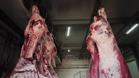 Fresh-Animal-Meats-Hanging-In-A-Slaughterhouse