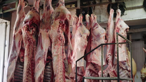 Raw-Beef-Carcasses-Hung-On-Hooks-In-A-Slaughterhouse