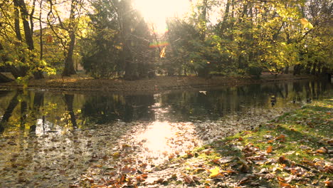 Bright-Sunlight-Passing-Through-Trees-At-Oliwski-Park-Reflecting-In-The-Waters-Of-Duck-Pond