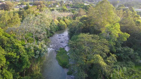 Río-Yaque-del-Norte-during-a-sunset-aerial-view-in-Jarabacoa-with-wildlife-and-pine-trees
