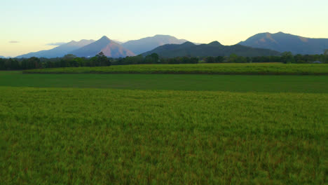 Greenery-Farmland-Revealed-Idyllic-Town-Of-Cairns-With-Mountainscape-Background-In-QLD,-Australia