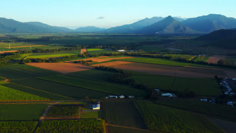 Malerische-Landwirtschaftsfelder-Bei-Sonnenaufgang-In-Cairns,-Queensland,-Australien---Luftdrohnenaufnahme