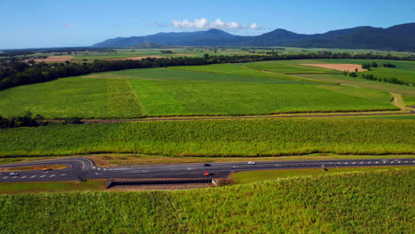 Vehículos-Que-Conducen-A-Lo-Largo-De-Los-Campos-Rurales-Con-Cultivos-Verdes-Frescos-En-Verano-Cerca-De-Cairns,-Qld,-Australia