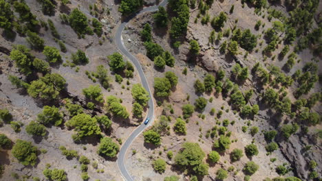 A-passing-car-on-a-slowly-winding-road-in-the-middle-of-an-arid-landscape-with-green-vegetation-on-a-sunny-day---static-view-from-a-drone